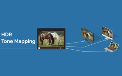 HDR Insights Article 3: Understanding HDR Tone Mapping